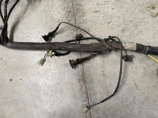 Cableado Gas Gas Wild 450