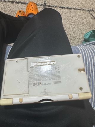 Nintendo DS Bianca