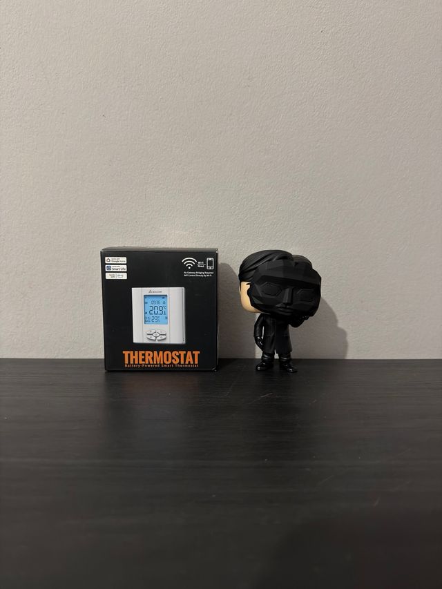 Termostato WiFi SALCAR Conectado