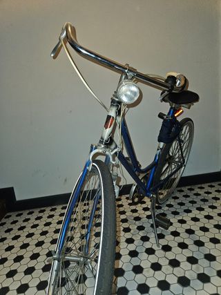 Bicicleta Vintage Azul