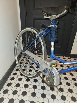 Bicicleta Vintage Azul