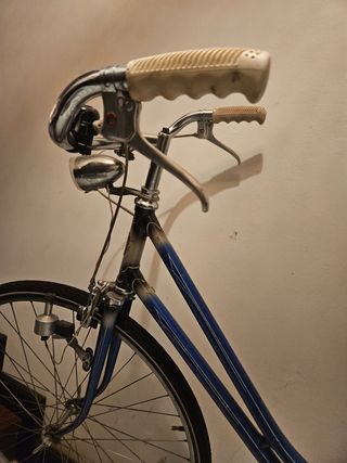 Bicicleta Vintage Azul