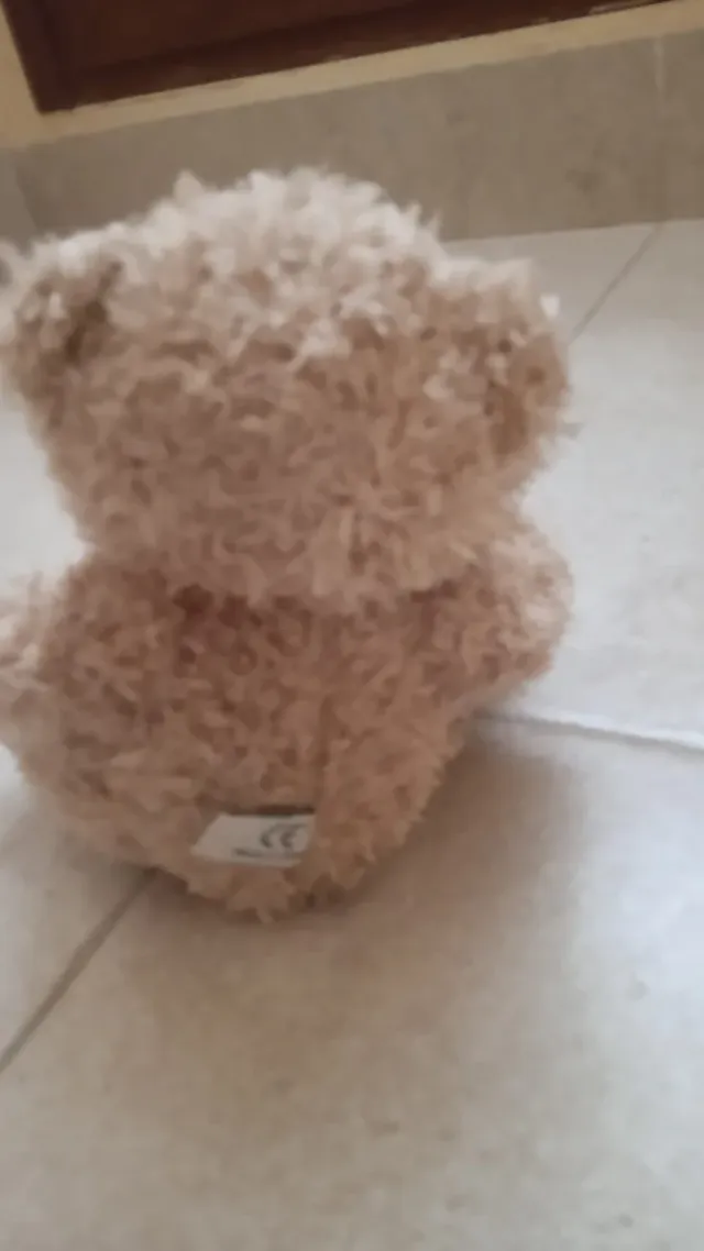 Osito de peluche marrón