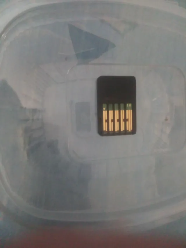 Looney Tunes Wacky World of Sports Switch