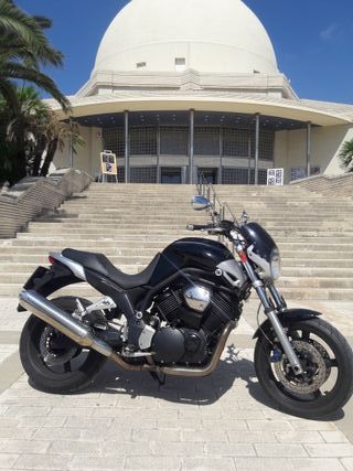 YAMAHA BT1100 BULLDOG