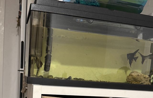 Acuario 100L Negro y Transparente