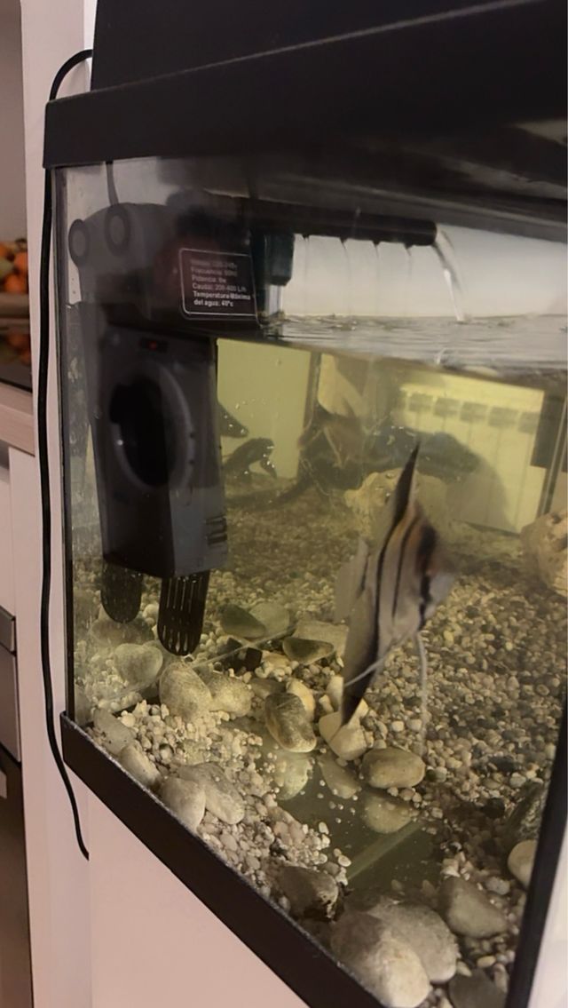 Acuario 100L Negro y Transparente