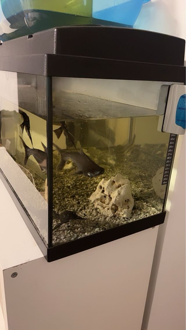 Acuario 100L Negro y Transparente