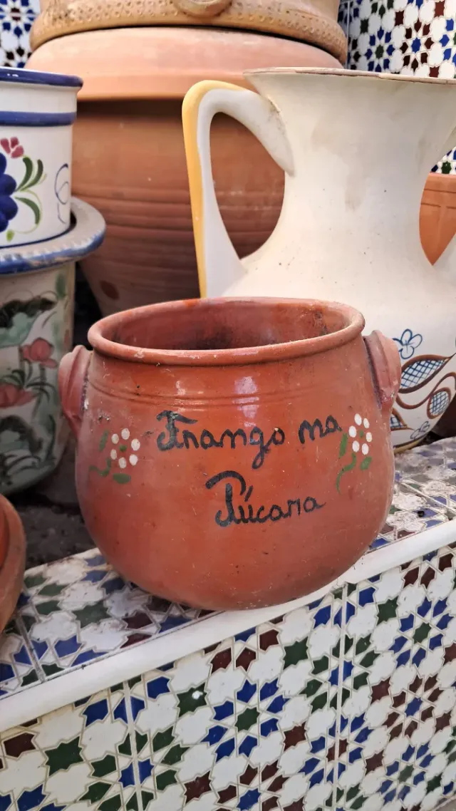 Juego de macetas de cerámica y barro