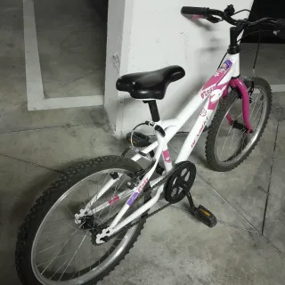 Bicicleta niña 20 pulgadas 5-8 años.