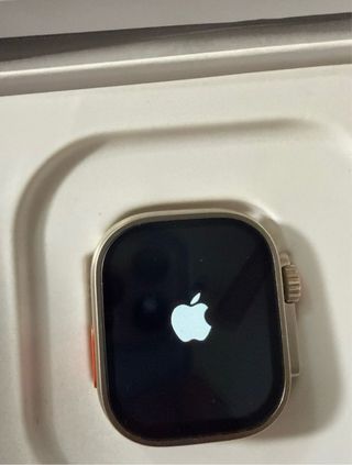Apple Watch Ultra Plata/Naranja