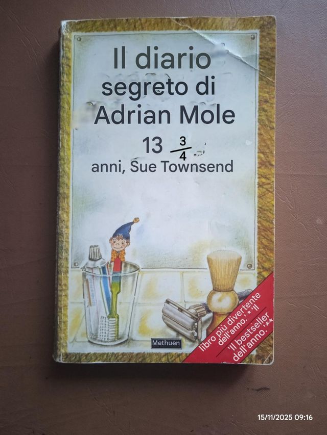The secret diary of Adrian Mole, 13 3/4 aged - Sue