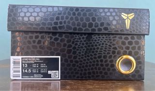 Nike Kobe VIII - Protro What The