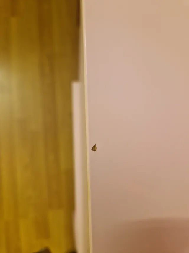 Cómoda infantil rosa con tiradores redondos