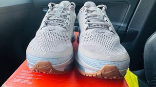 Nike Air Zoom Pegasus Premium Beige/Azul