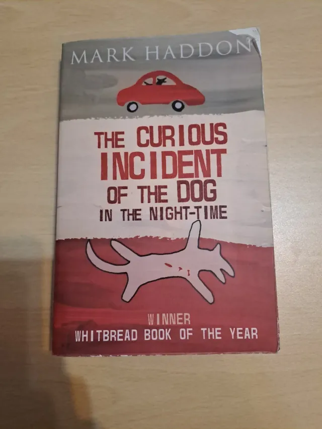 The Curious Incident of the Dog In the Night-time