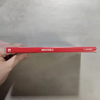 Indivisible Nintendo Switch