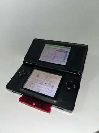 Nintendo DS Lite Nero