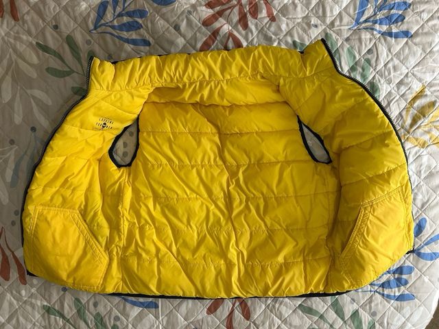 Chaleco acolchado azul y amarillo talla 14 años