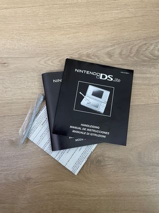Nintendo DS Lite Argento