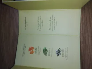 Perfume My Soul Enchanted Mujer