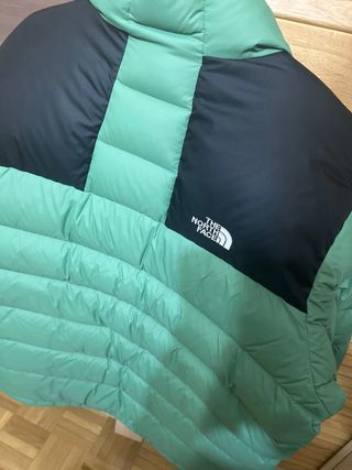 The North Face Plumas Verde y Negro