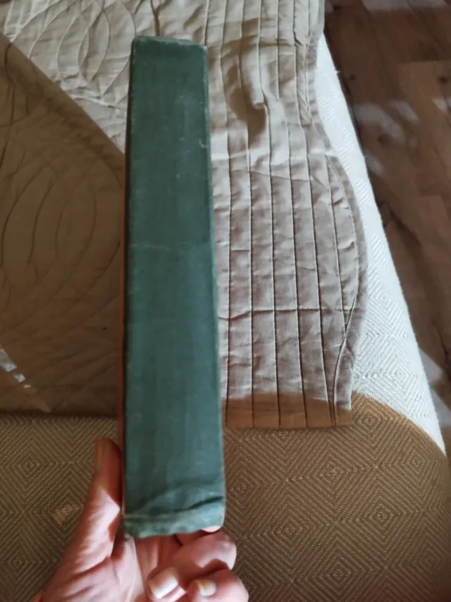 Ortografía Práctica