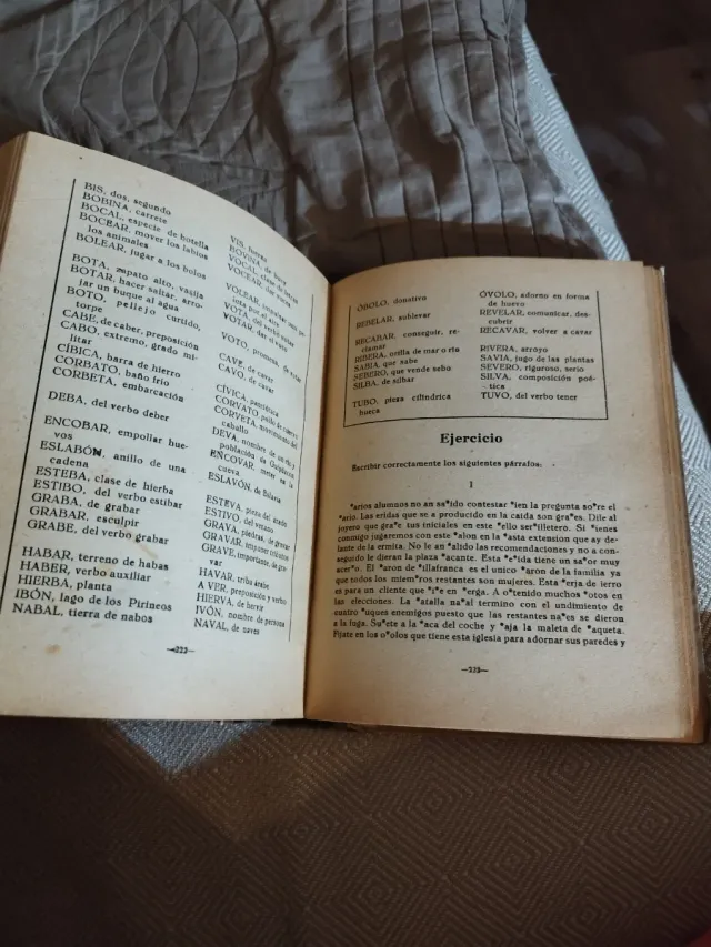 Ortografía Práctica