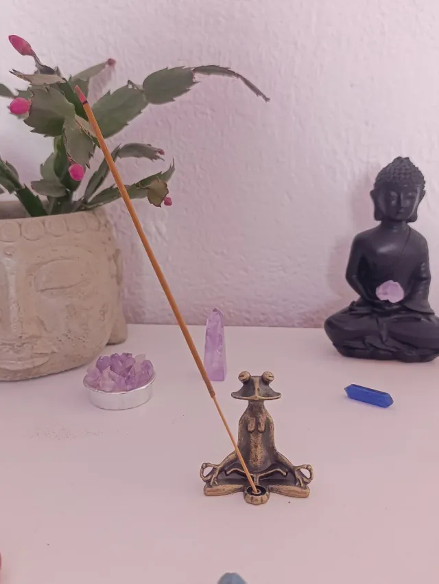 Quemador de incienso meditando rana