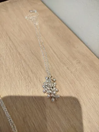 Colgante y cadena de plata