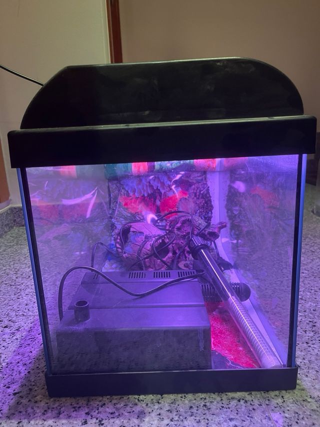 Pecera Aqua-Light 50x30 con luz interior