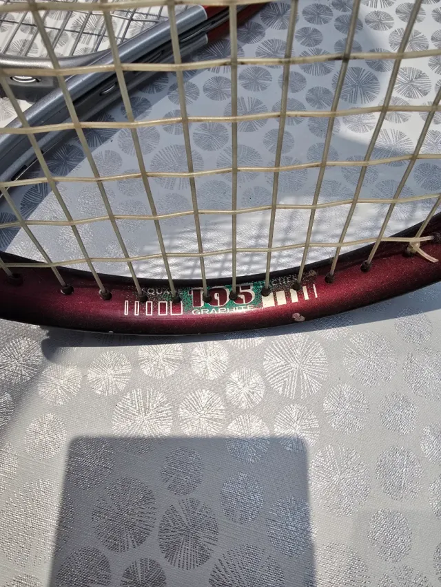 2 Raquetas de Tenis Dunlop y Wilson