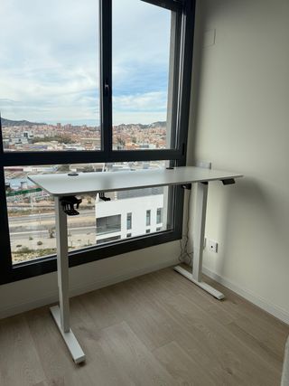 Escritorio regulable en altura FlexiSpot – 140×60