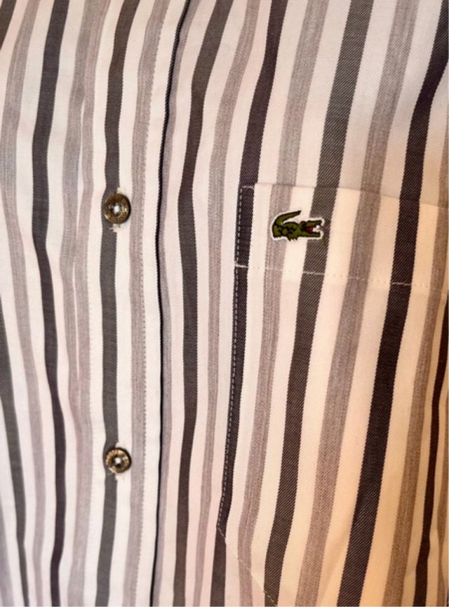 Camisa Lacoste Rayas Gris Blanco