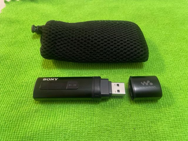 Sony Walkman Negro NWZ-B183F