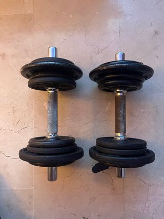 Mancuernas 12,5Kg
