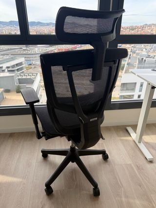 Silla de oficina ergonómica FlexiSpot C7B-Air-Pro