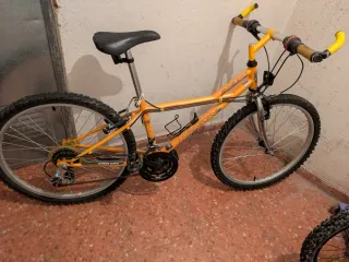 Bicicleta Montaña Monty Rueda 24