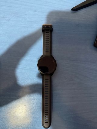 Garmin Forerunner 165 GPS Running Smartwatch