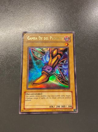 Gamba dx del proibito