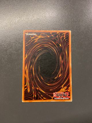 Gamba dx del proibito