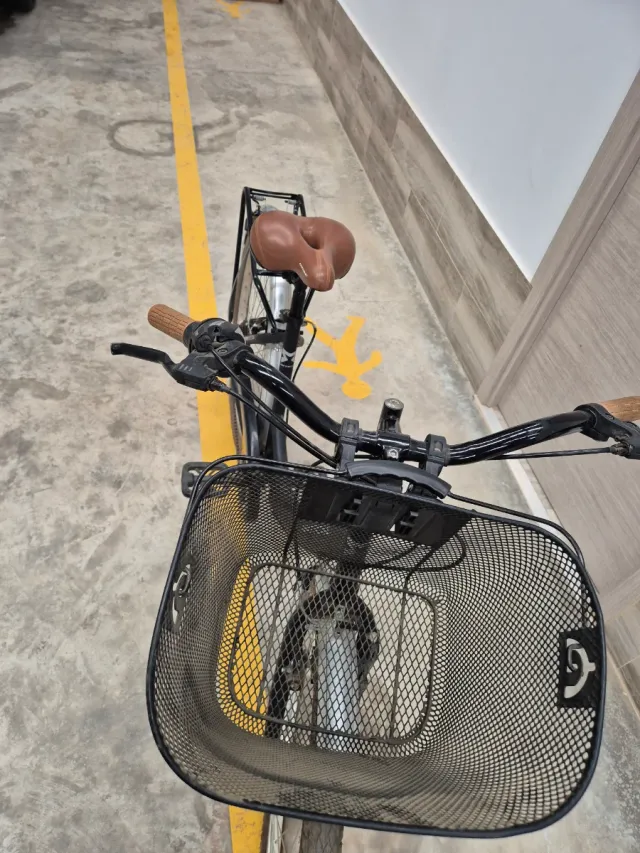 Bicicleta Paseo Mitical Adulto