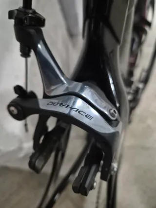 Cuadro de carbono TRIGON