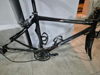 Cuadro de carbono TRIGON