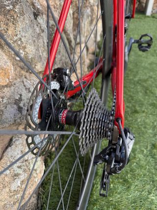 Canyon Endurace CF SL Disc Talla 54