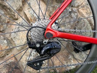 Canyon Endurace CF SL Disc Talla 54