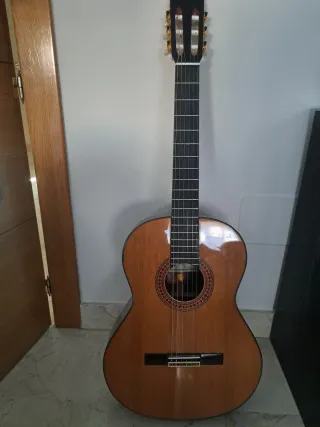 Guitarra Clásica con Estuche