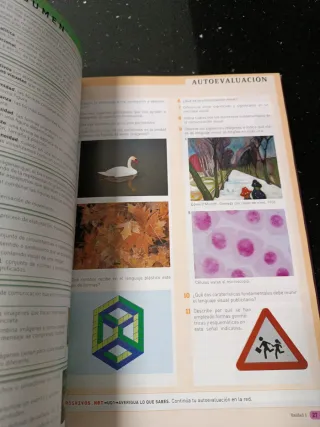 Educación plástica y visual II. ESO. Conecta 2.0