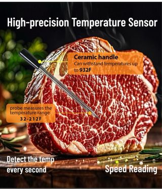 Termometro Cucina Carne Digitale