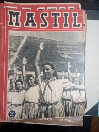 Lote 56 Revistas Mastil - Frente de Juventudes
